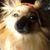 Lori Winch's profile image