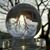 Truman Purdy's profile image