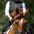 Karolynne Meyer's profile image