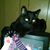 Maryan Platz's profile image