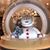 Lori Ann's profile image