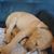 JJ Paur's profile image