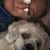 Sharon Spignesi's profile image