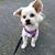 Staci Briley's profile image