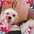 Roxanne DeShaw's profile image