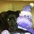 Sally Upshaw Smith's profile image