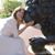 Jane Scheffsky's profile image