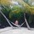 Michelle DeNooyer Cardinal's profile image