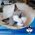 Denise Frost Farney's profile image