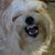 MaryAnn Wills's profile image
