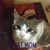 Christine Bromley Alsip's profile image