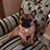 Pam Raiford Wood's profile image