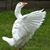Elizabeth Raypole's profile image