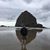 Brian Solomon's profile image