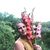 Emily Ankeney's profile image