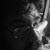 Phillip Craig Wardlaw's profile image