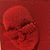 Dave Norris's profile image