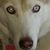 Ovie Klauber's profile image