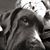 Sherrie Miller's profile image