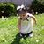 Leddy Alvarado's profile image