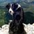 Cindy Burch's profile image