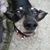Debbie T WoodWorxs's profile image