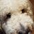Mary Stahr's profile image