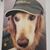Lavelle Dana's profile image