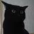 Karen Rebecca Koole's profile image