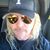 Shawn McManis's profile image
