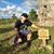 Franklyn Sierra's profile image