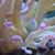 Michele Snider's profile image