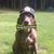 Jeff Lacombe's profile image