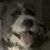 Robert Clark's profile image