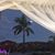 Carmen Madrigal's profile image
