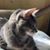Karen L. Bystrom's profile image