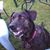 Heather Michaud's profile image