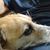 Cheryl Svedberg MacLeod's profile image