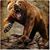 Lonny Bailey Sr's profile image