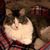 Carolyn Cochran's profile image