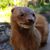 Andi Metz's profile image