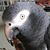 Martin Ran's profile image