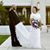 Melissa Weber's profile image