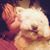 Beth Holzknecht's profile image