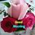 Tomy Anh Bui's profile image