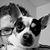 Bethany Lewitzke's profile image