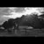 Michael Peppe's profile image