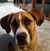 Regina Nissley Sines's profile image