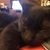 Sunny Finch Taylor's profile image