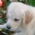 Maria Graski's profile image